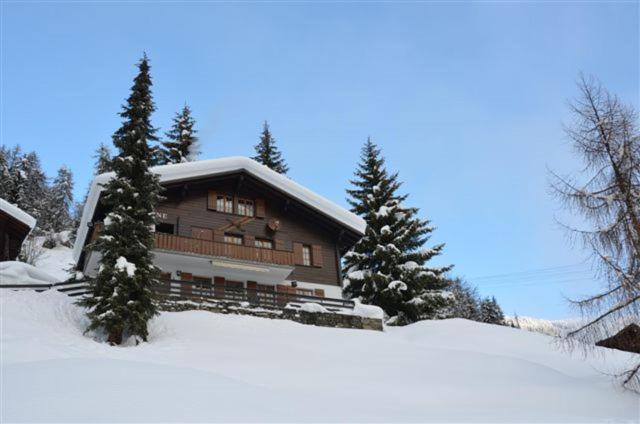 בלאטן ביי נאטרס Chalet Ariane מראה חיצוני תמונה